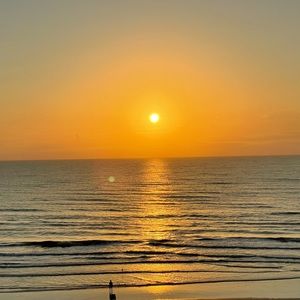 Meet your Posher, Posh